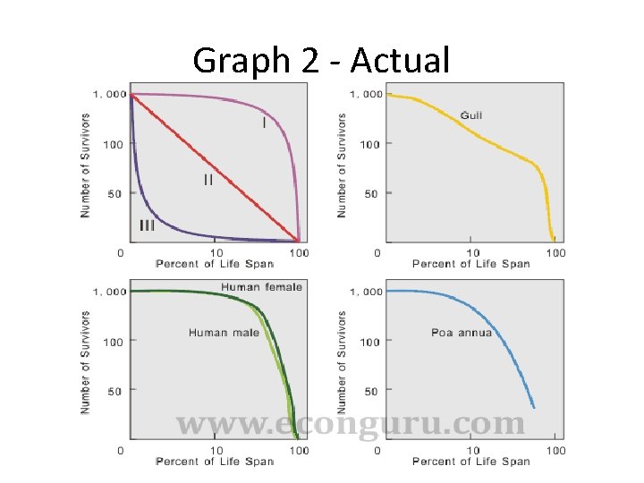 Graph 2 - Actual 