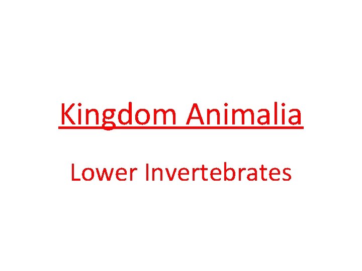 Kingdom Animalia Lower Invertebrates 