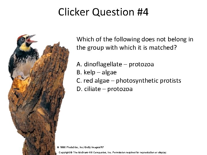 Clicker Question #4 Which of the following does not belong in the group with