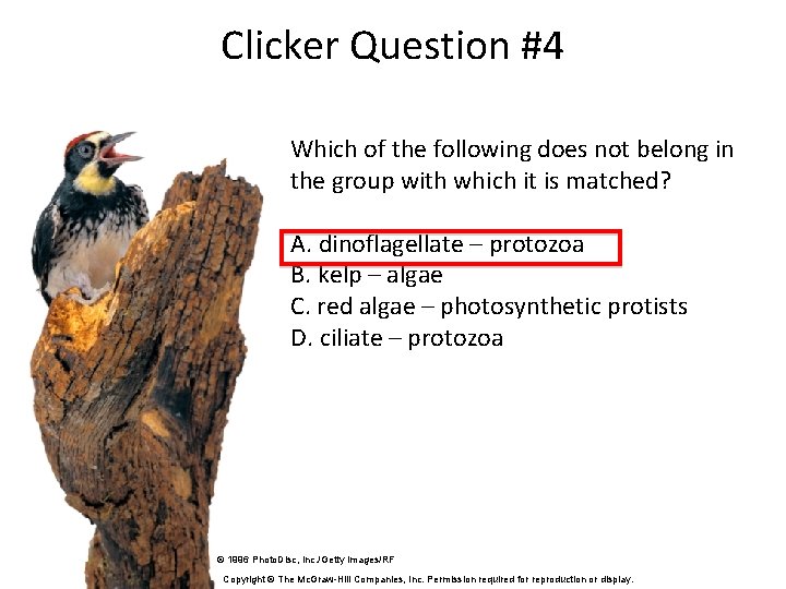 Clicker Question #4 Which of the following does not belong in the group with