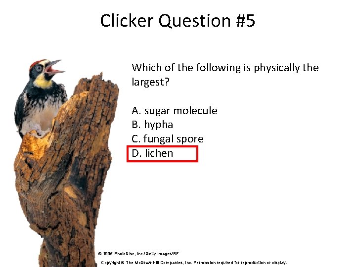 Clicker Question #5 Which of the following is physically the largest? A. sugar molecule