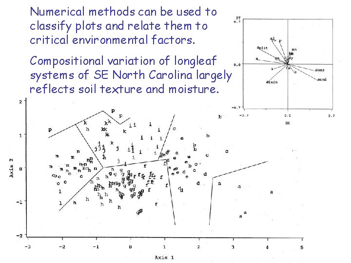Construction of templates for restoration of longleaf pine