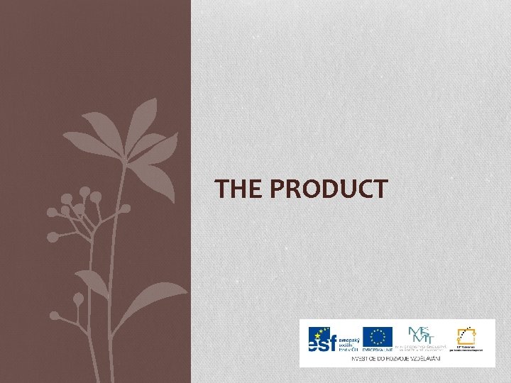 THE PRODUCT 