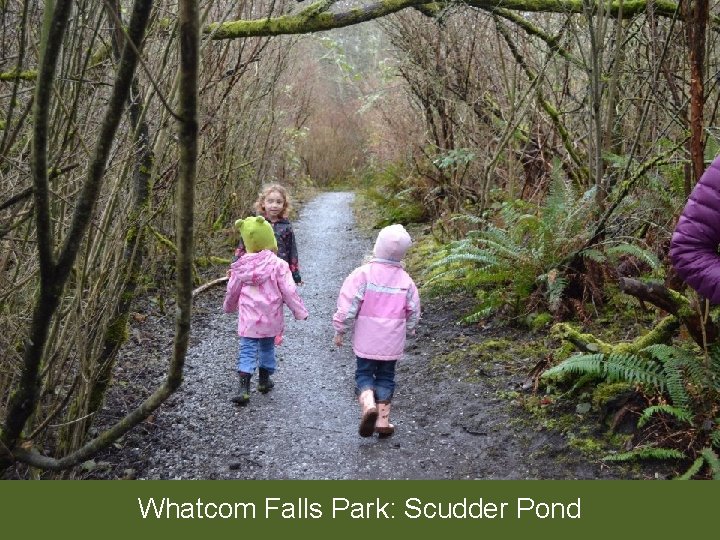 Whatcom Falls Park: Scudder Pond 