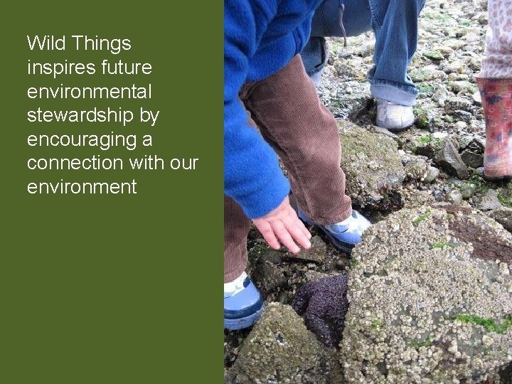 Wild Things inspires future environmental stewardship by encouraging a connection with our environment 