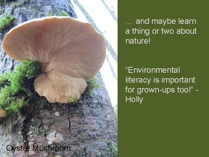 … and maybe learn a thing or two about nature! “Environmental literacy is important