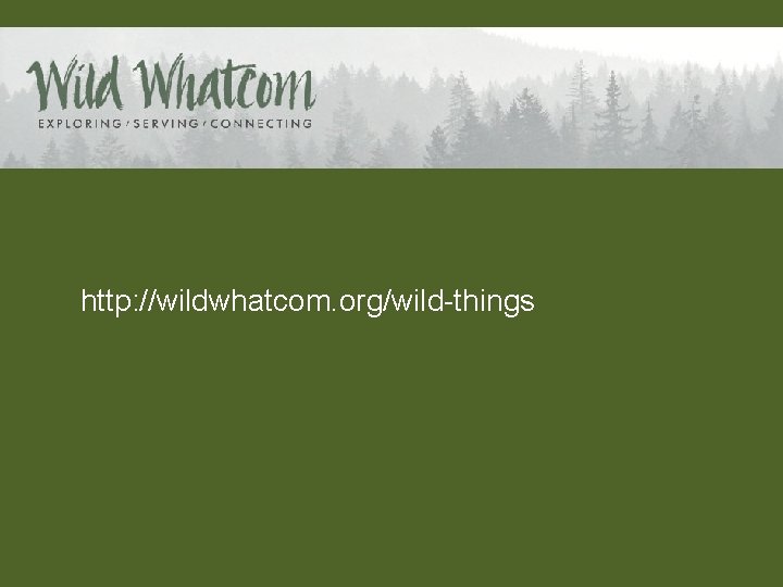 http: //wildwhatcom. org/wild-things 