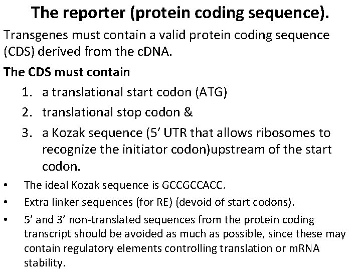 The reporter (protein coding sequence). Transgenes must contain a valid protein coding sequence (CDS)