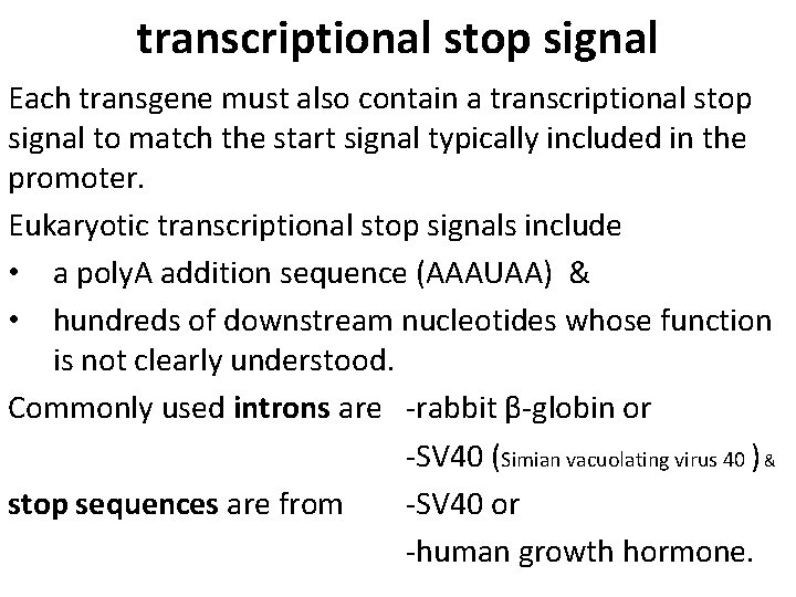 transcriptional stop signal Each transgene must also contain a transcriptional stop signal to match