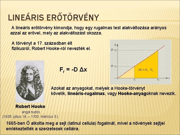 LINEÁRIS ERŐTÖRVÉNY A lineáris erőtörvény kimondja, hogy egy rugalmas test alakváltozása arányos azzal az