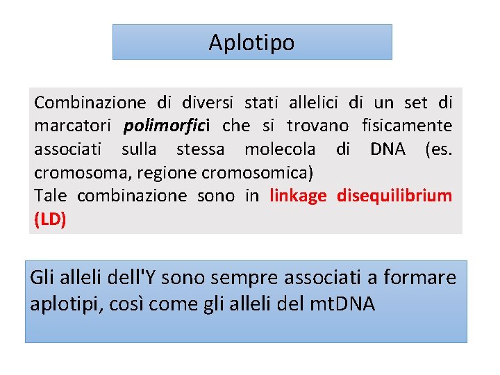 Aplotipo Combinazione di diversi stati allelici di un set di marcatori polimorfici che si