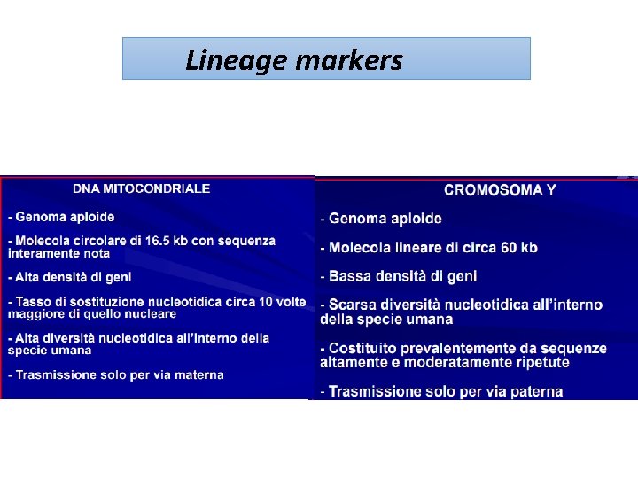 Lineage markers 