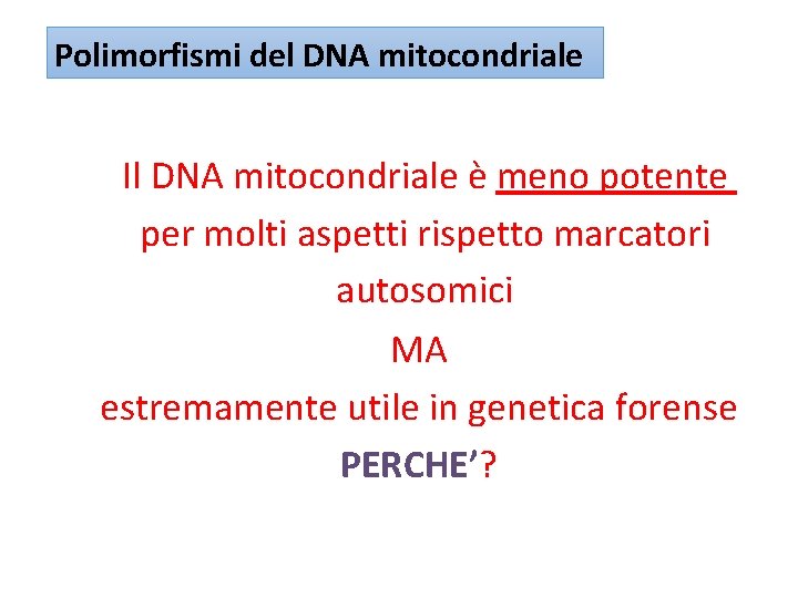 Polimorfismi del DNA mitocondriale Il DNA mitocondriale è meno potente per molti aspetti rispetto