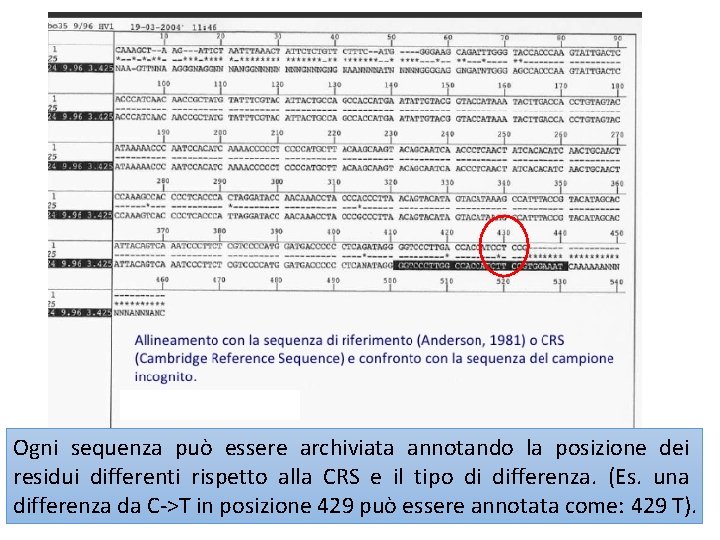 Ogni sequenza può essere archiviata annotando la posizione dei residui differenti rispetto alla CRS