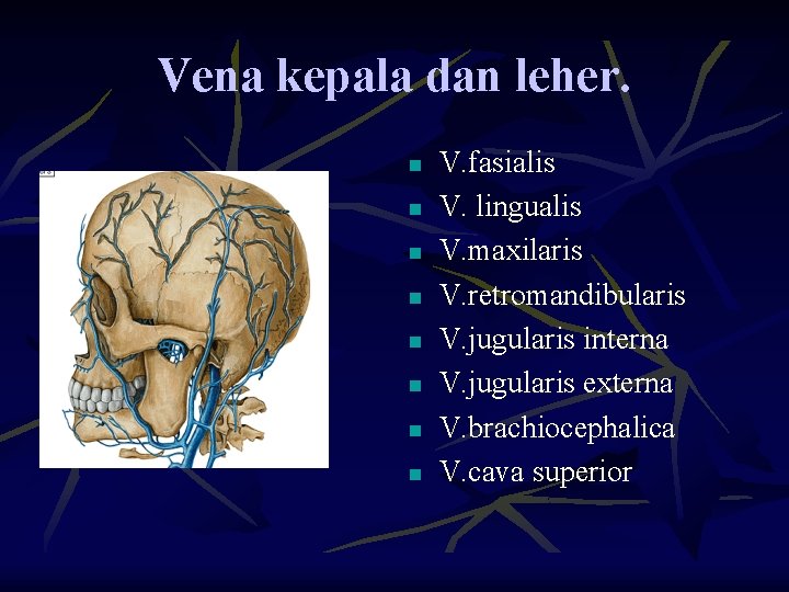 Vena kepala dan leher. n n n n V. fasialis V. lingualis V. maxilaris