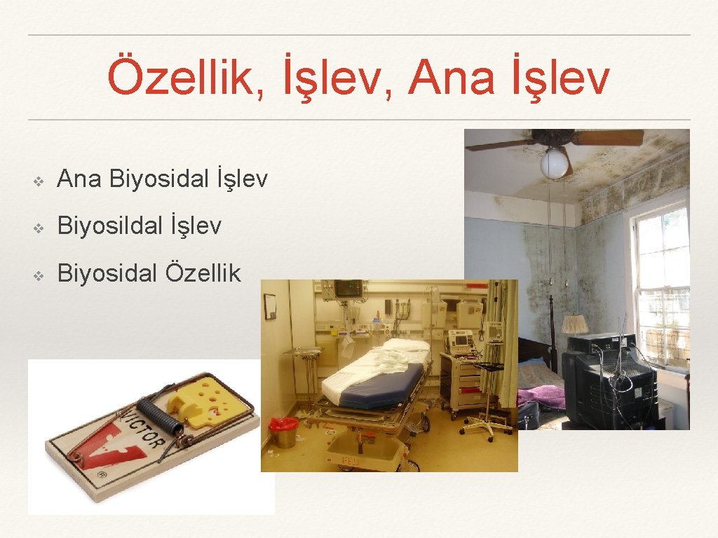 Özellik, İşlev, Ana İşlev ❖ Ana Biyosidal İşlev ❖ Biyosildal İşlev ❖ Biyosidal Özellik