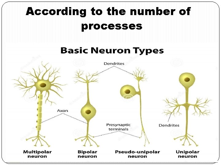 According to the number of processes According to the number of processes