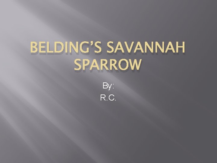 BELDING’S SAVANNAH SPARROW By: R. C. 