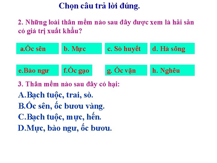 Chọn câu trả lời đúng. 2. Những loài thân mềm nào sau đây được