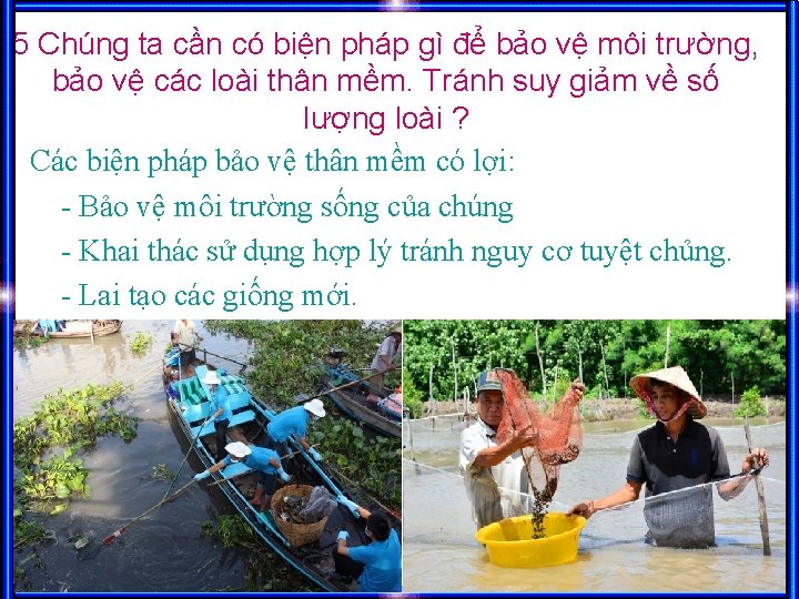 5 Chúng ta cần có biện pháp gì để bảo vệ môi trường, bảo