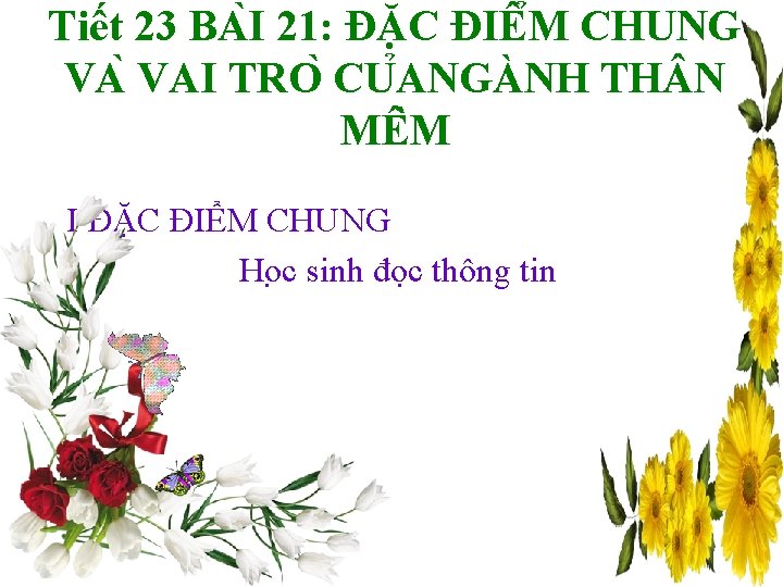 Tiết 23 BA I 21: ĐĂ C ĐIÊ M CHUNG VA VAI TRO CU