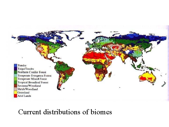 Current distributions of biomes 