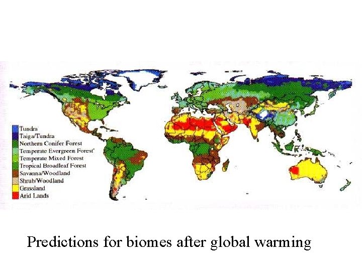 Predictions for biomes after global warming 