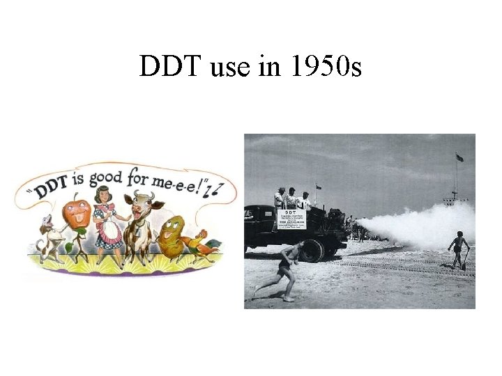 DDT use in 1950 s 