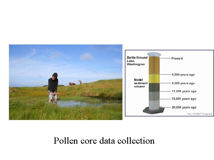 Pollen core data collection Pollen core data collection