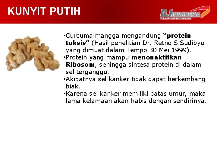 KUNYIT PUTIH • Curcuma mangga mengandung “protein toksis” (Hasil penelitian Dr. Retno S Sudibyo