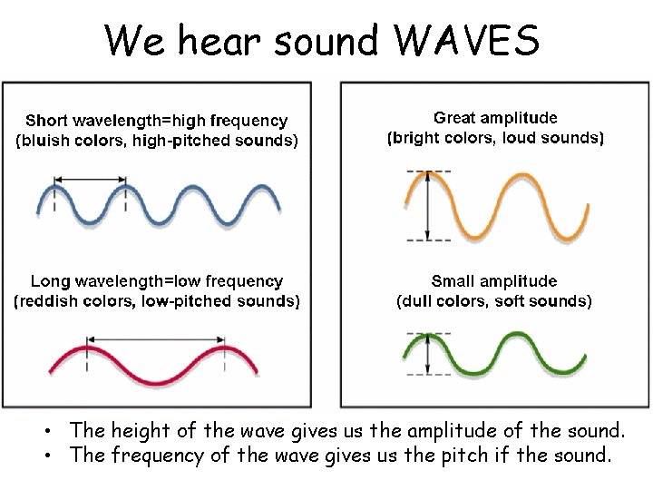 We hear sound WAVES • The height of the wave gives us the amplitude