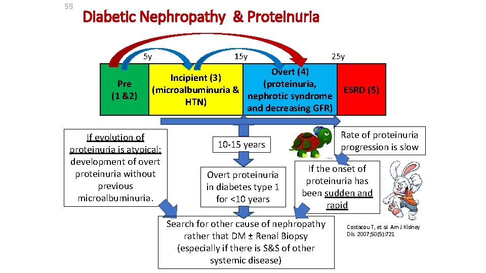 55 Diabetic Nephropathy & Proteinuria 5 y Pre (1 &2) 15 y 25 y