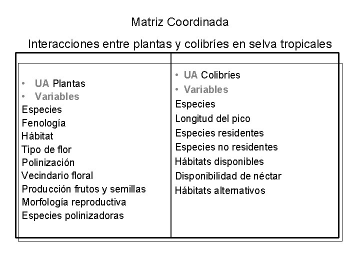 Matriz Coordinada Interacciones entre plantas y colibríes en selva tropicales • UA Plantas •