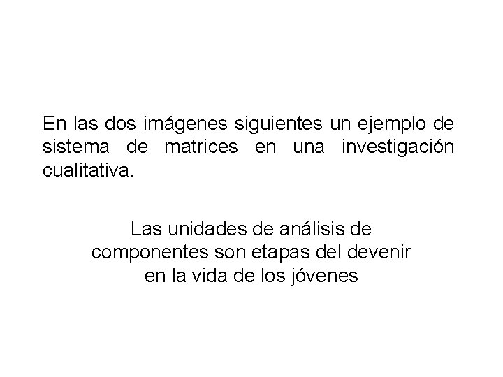 En las dos imágenes siguientes un ejemplo de sistema de matrices en una investigación