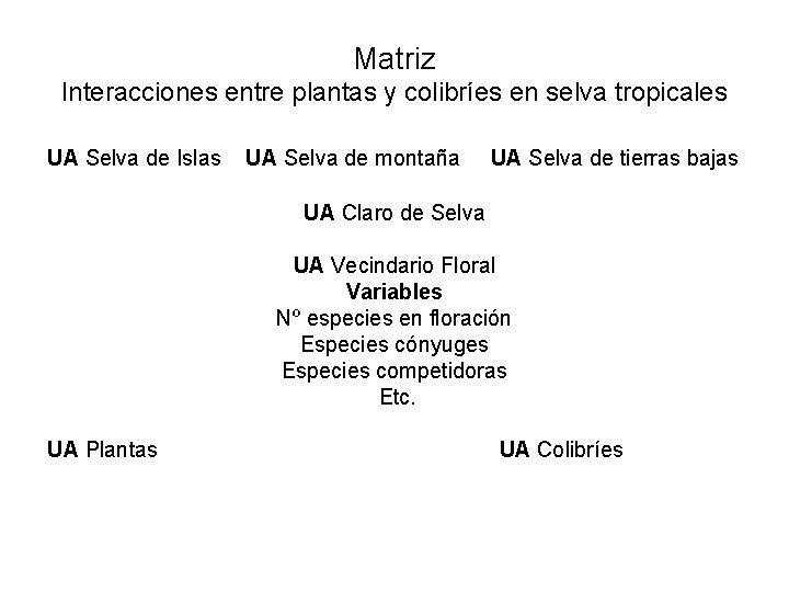 Matriz Interacciones entre plantas y colibríes en selva tropicales UA Selva de Islas UA