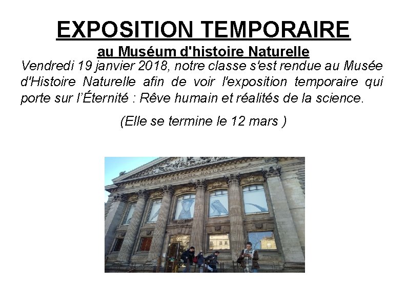 EXPOSITION TEMPORAIRE au Muséum d'histoire Naturelle Vendredi 19 janvier 2018, notre classe s'est rendue