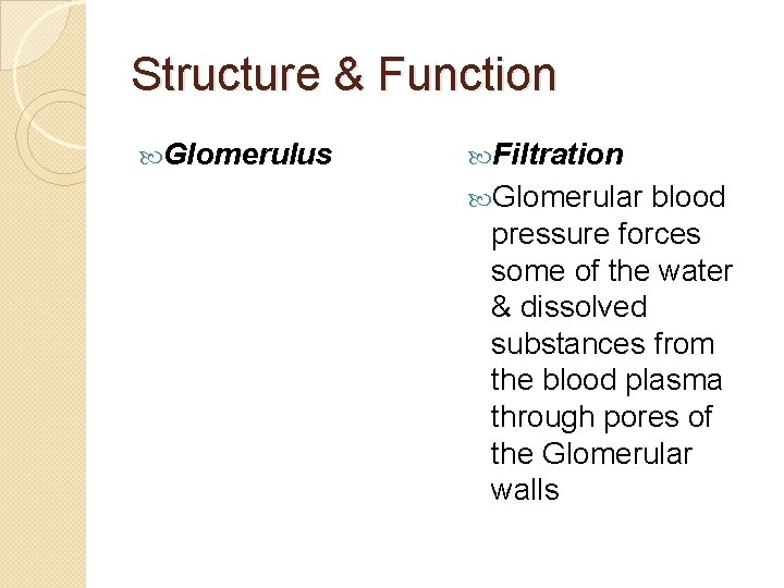 Structure & Function Glomerulus Filtration Glomerular blood pressure forces some of the water &