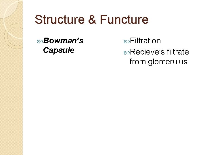 Structure & Functure Bowman’s Capsule Filtration Recieve’s filtrate from glomerulus 
