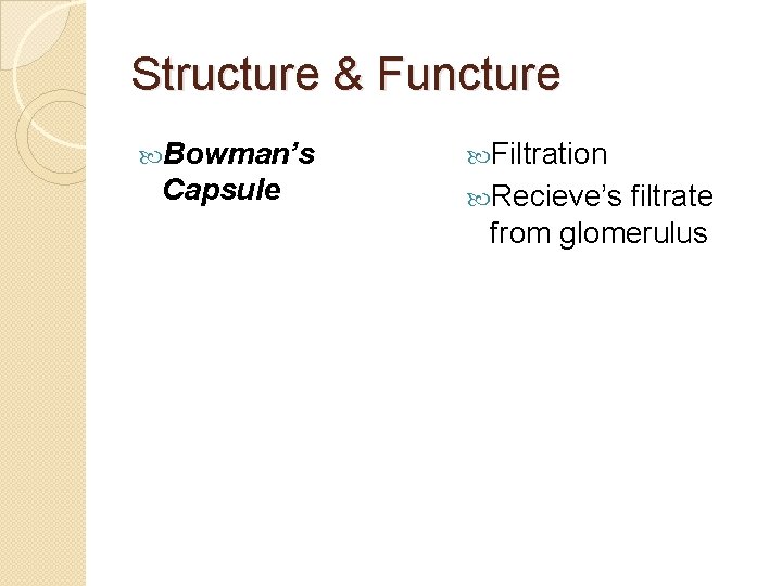 Structure & Functure Bowman’s Capsule Filtration Recieve’s filtrate from glomerulus 