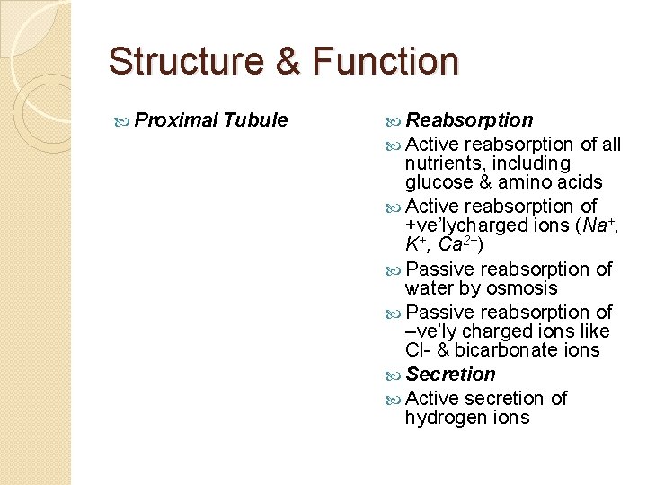Structure & Function Proximal Tubule Reabsorption Active reabsorption of all nutrients, including glucose &