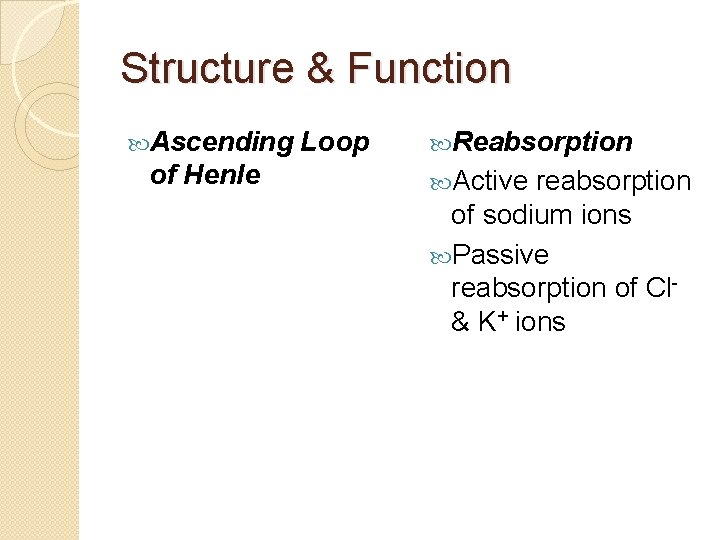 Structure & Function Ascending of Henle Loop Reabsorption Active reabsorption of sodium ions Passive