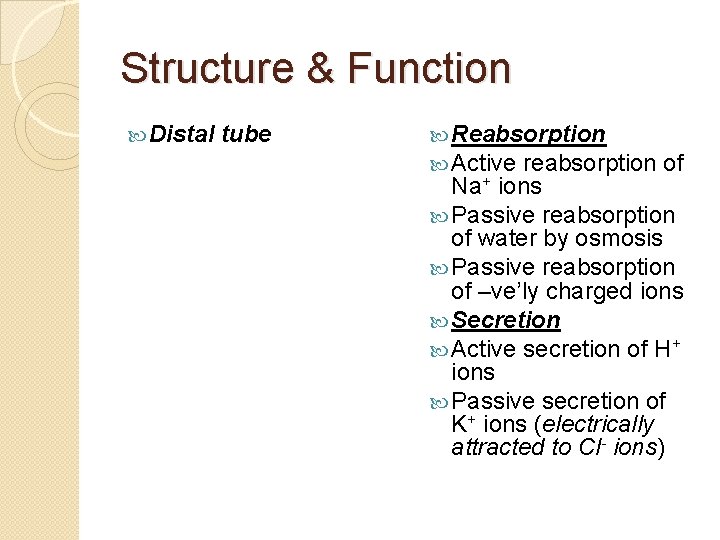Structure & Function Distal tube Reabsorption Active reabsorption of Na+ ions Passive reabsorption of