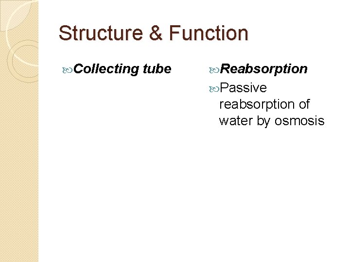 Structure & Function Collecting tube Reabsorption Passive reabsorption of water by osmosis 