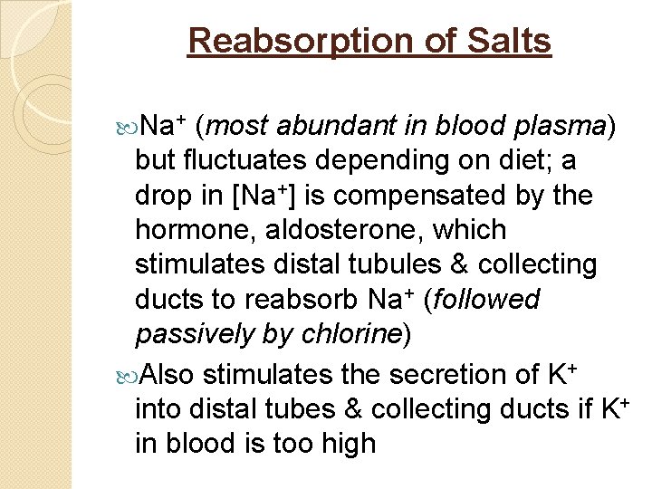 Reabsorption of Salts Na+ (most abundant in blood plasma) but fluctuates depending on diet;