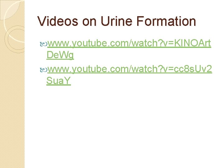 Videos on Urine Formation www. youtube. com/watch? v=KINOArt De. Wg www. youtube. com/watch? v=cc
