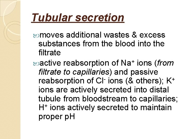 Tubular secretion moves additional wastes & excess substances from the blood into the filtrate