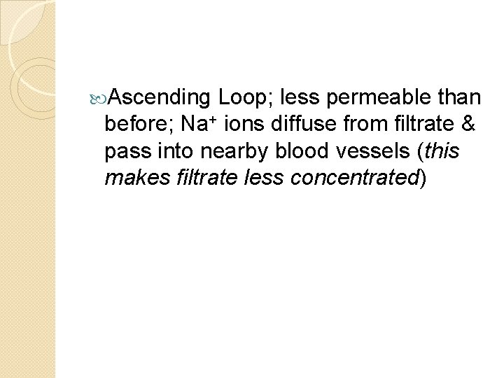 Ascending Loop; less permeable than before; Na+ ions diffuse from filtrate & pass