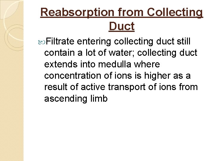 Reabsorption from Collecting Duct Filtrate entering collecting duct still contain a lot of water;