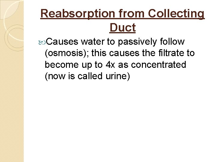 Reabsorption from Collecting Duct Causes water to passively follow (osmosis); this causes the filtrate
