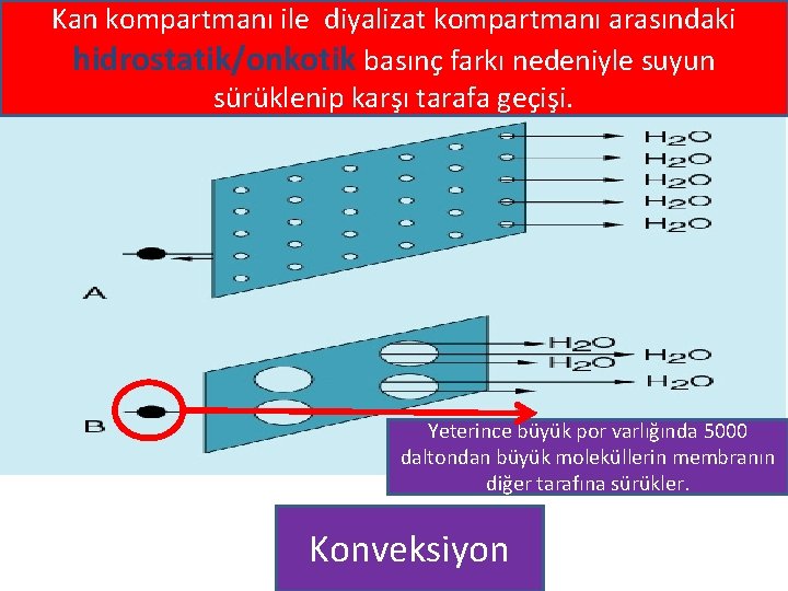 Kan kompartmanı ile diyalizat kompartmanı arasındaki hidrostatik/onkotik basınç farkı nedeniyle suyun sürüklenip karşı tarafa